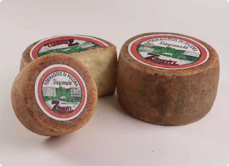 formaggio-pecora-stagionato